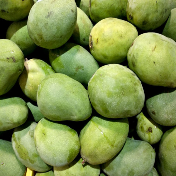 Mangga Gadung Manis