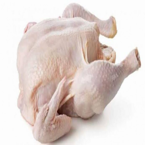 Ayam potong
