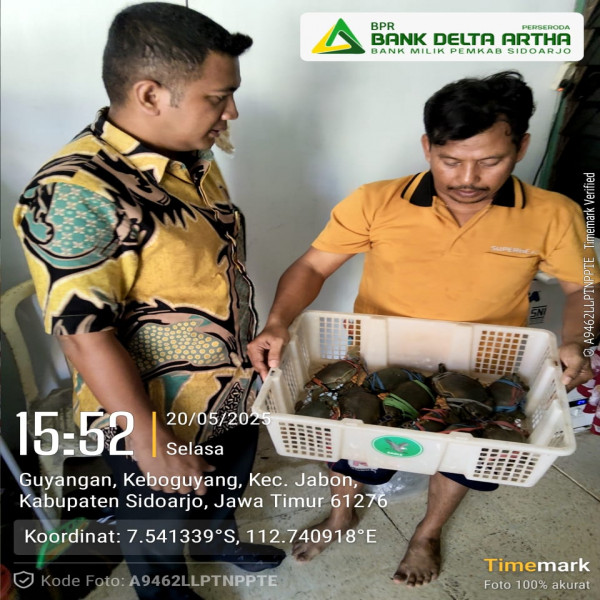 JUAL BELI UDANG