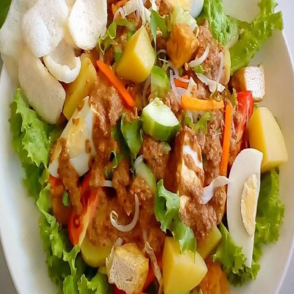 GADO GADO