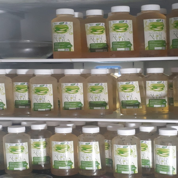 MINUMAN OLAHAN ALOEVERA