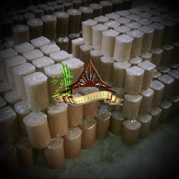 Fresh Baglog F4 - Jamur Tiram Putih (Pleurotus ostreatus)