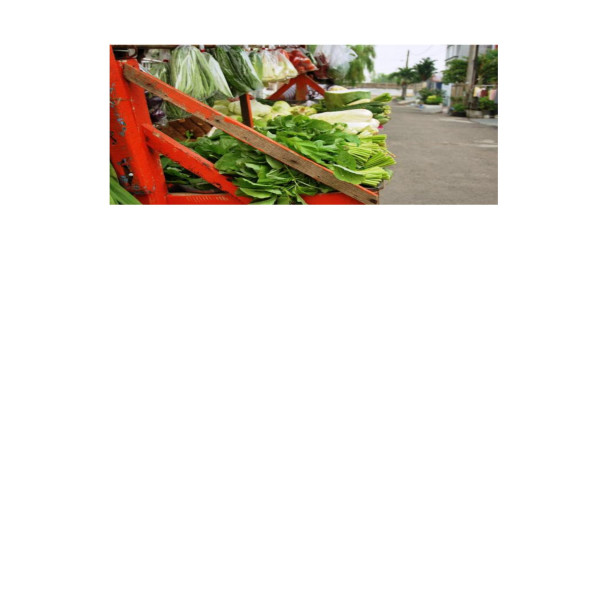 Peracangan Ikan, sayur, dan buah