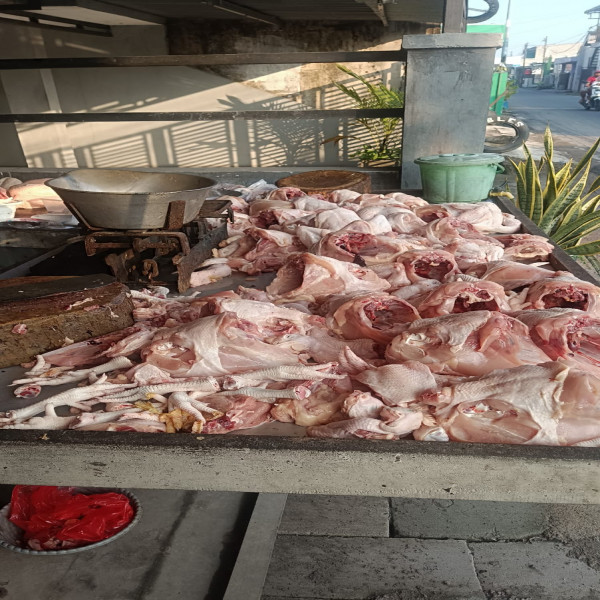 JJ BROILER