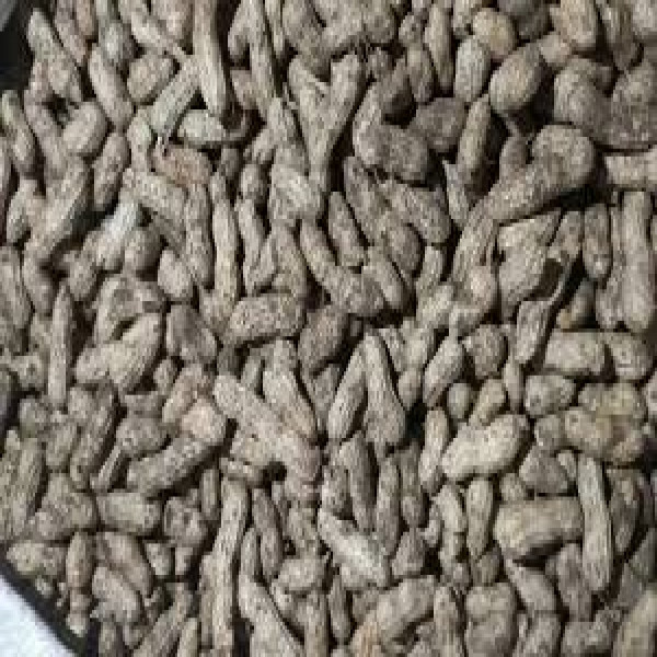 Jual Kacang Tanah