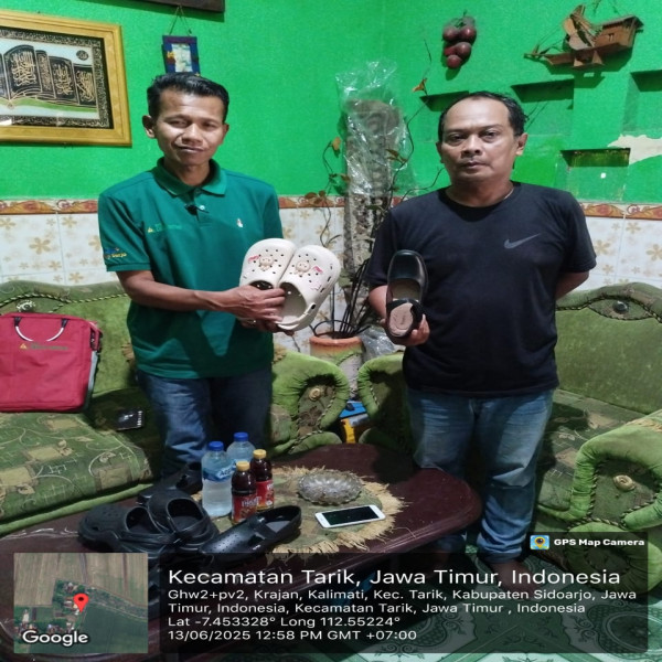 Sandal Sepatu