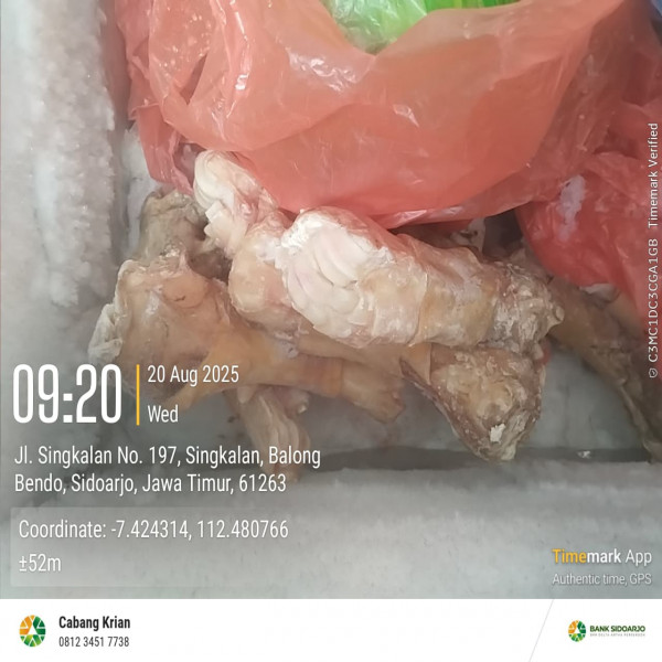 Jual Daging Sapi
