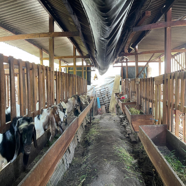 RADIAZRIL FARM SIDOARJO