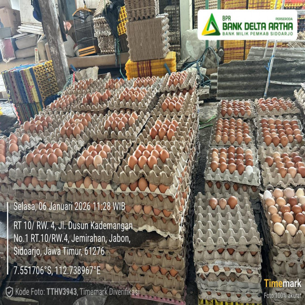 AGEN TELOR TUNGGAL PUTRI