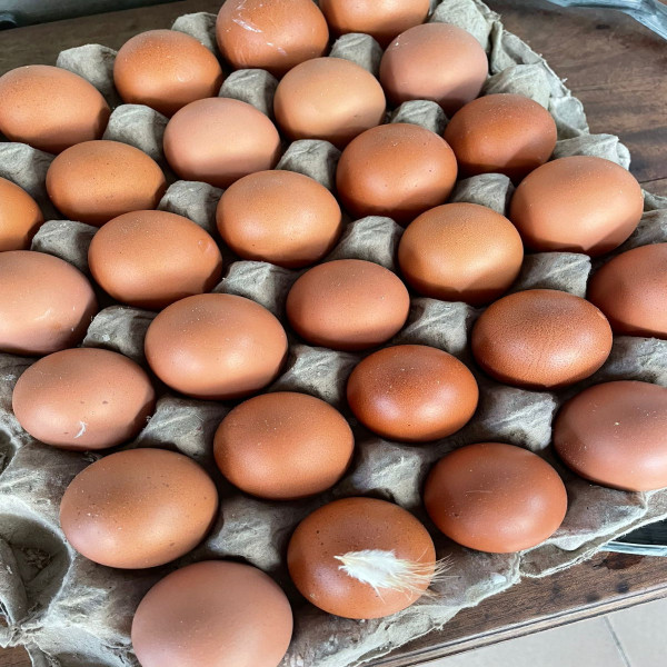 TELOR DAN GRILL BEEF SLICE