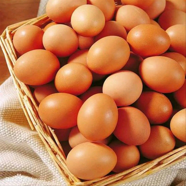 telur