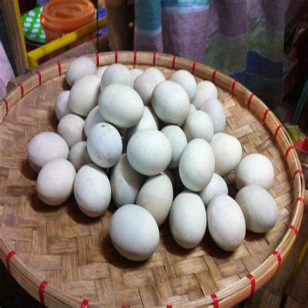 TELUR ASIN