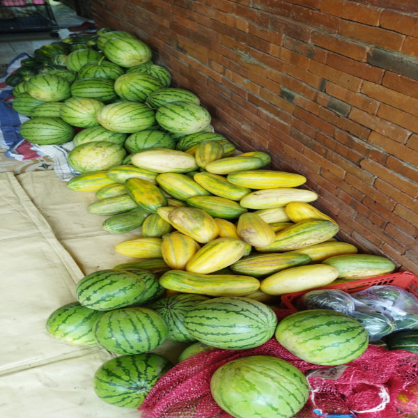 JUAL ANEKA BUAH