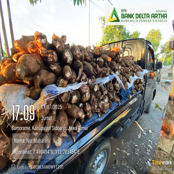 SUPPLIER SINGKONG