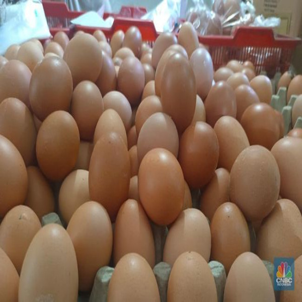 TELOR AYAM NEGERI